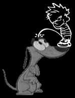 Pee on Little Dog