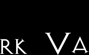 Animated DV logo