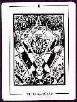 Light and Shadow Tarot
