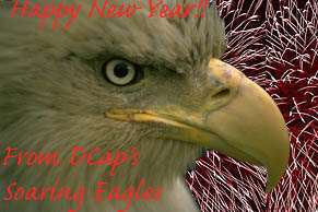 Happy New Year from Lady in Waiting Alaenna
