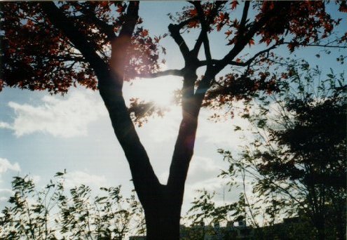  Autom, at school ... 