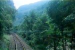戀戀風塵