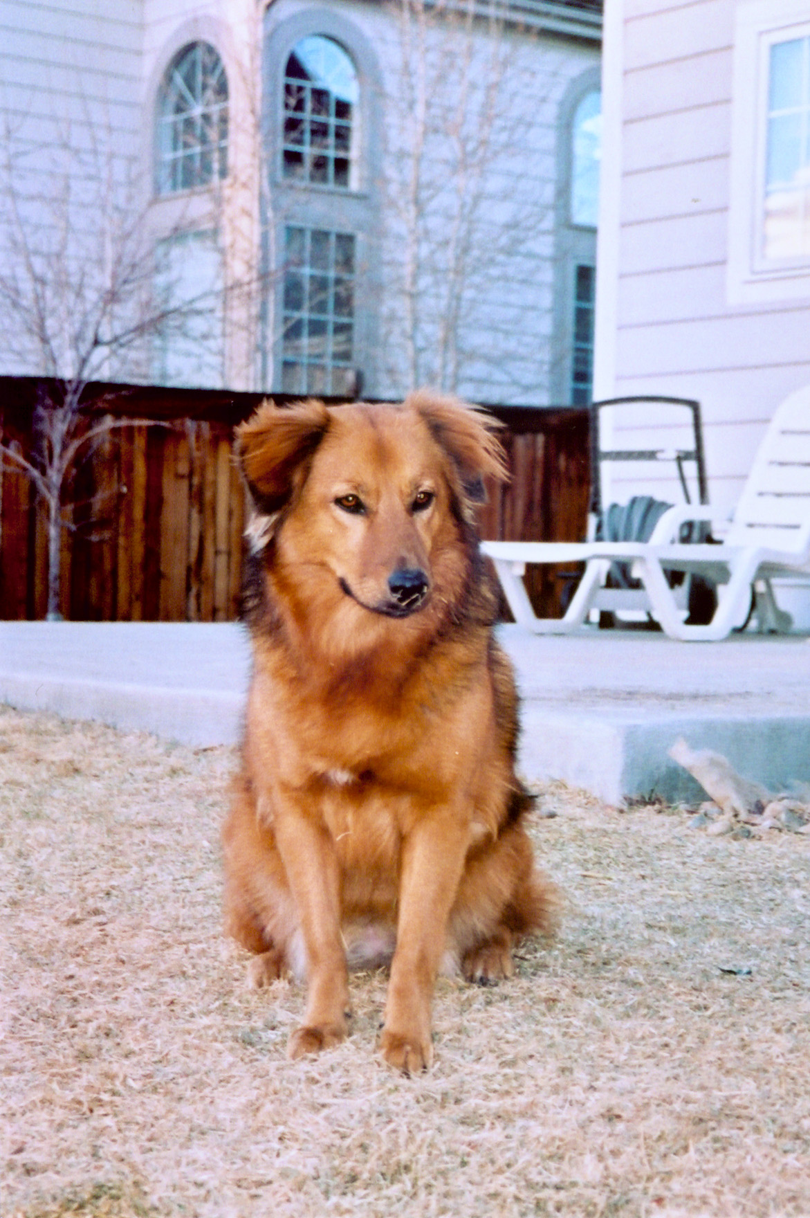 Berri in Colorado