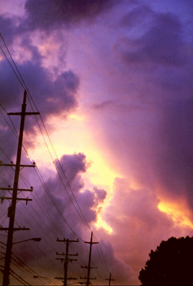 A striking sunset in Alameda, CA.