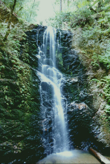 One of three small waterfalls at Big Basin Nat'l Park near San Jose, CA.