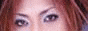 VGSS banner