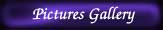 Pictures Gallery