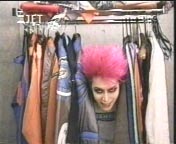Beauty & Stupid - hide