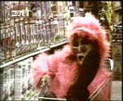 MISERY - hide