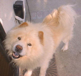 Hsiung2.jpg