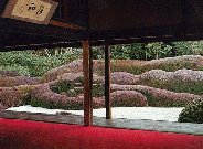 Diachiji in Winter