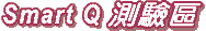 SmartQ 