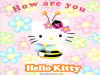 w_kitty7.jpg (153326 bytes)