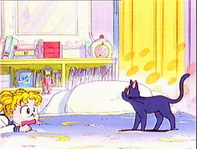 La reaccion de Serena al Luna hablarle por primera vez no fue muy buena