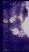 s_shinecover.jpg (986 bytes)