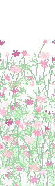 k,]ୱϮ