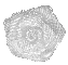 Rose Icon