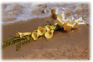 bouquet004.gif (54428 bytes)