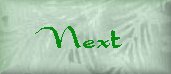 imaginenext.jpg (3187 bytes)
