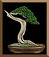 junipBonzai.bmp (12278 bytes)