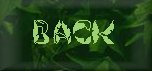 motherback.jpg (3415 bytes)