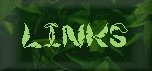 motherlink.jpg (3574 bytes)