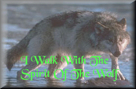 walkWolfSpirit.gif (37950 bytes)