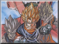 Vegetto