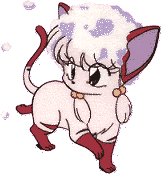 Shampoo  literalmente uma gatinha
