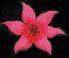 Alien flower