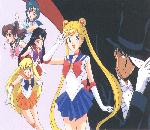 sailor1.jpg