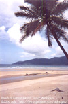 Beach at Tioman Island - Johor
