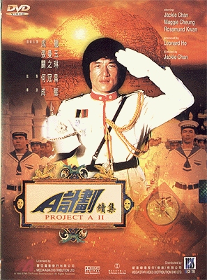 DVD sleeve