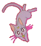 Tierno gatito