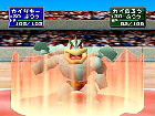 Machamp Fighting
