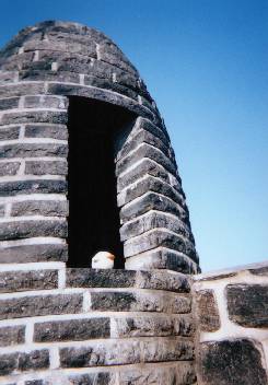 piyo_korea4.JPG (17236 �o�C�g)