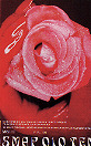 song3.jpg (32744 bytes)