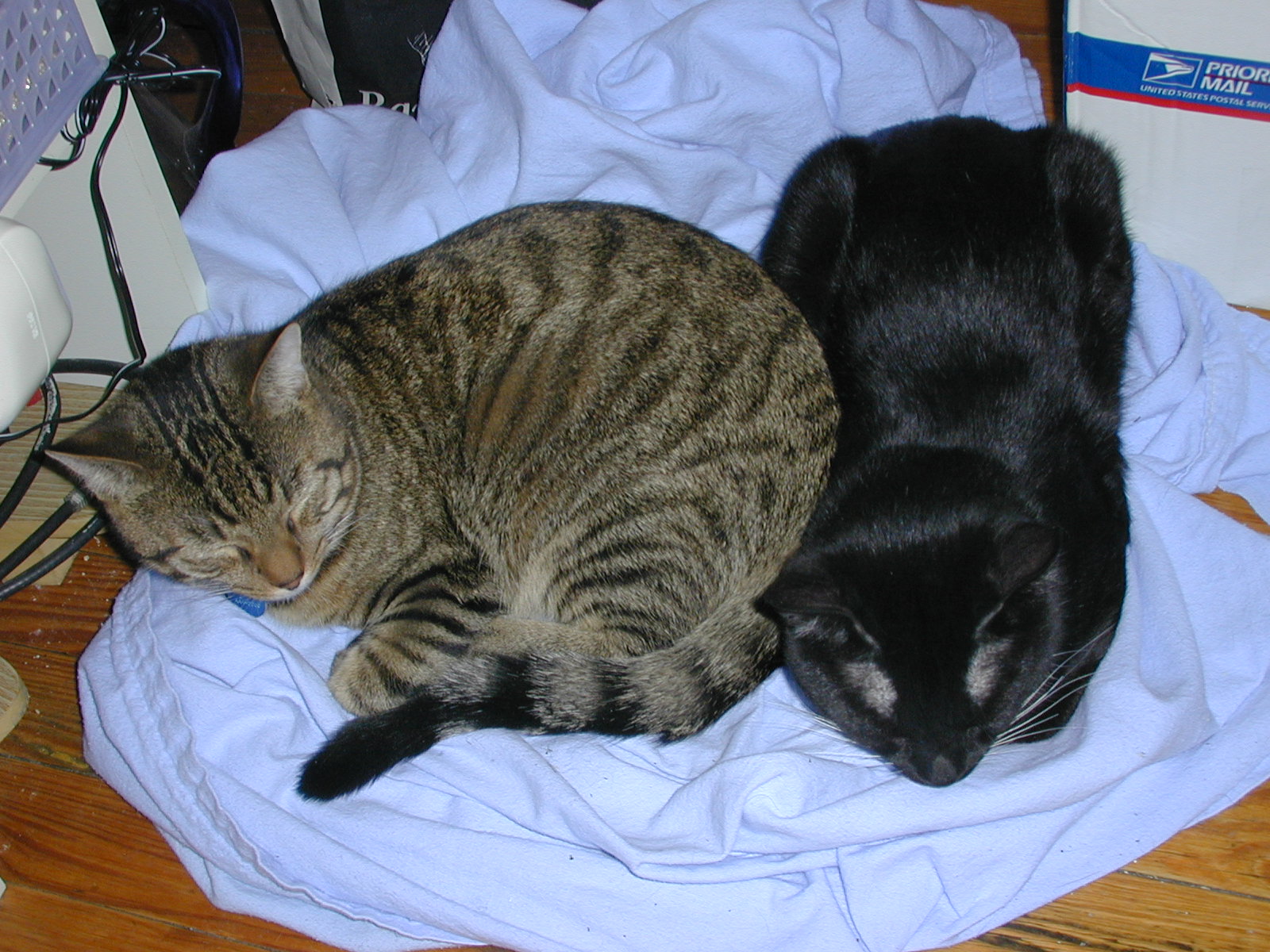 Sleeping Brothers
