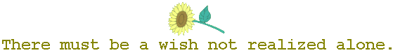 Wish 2: There must be a wish not realized alone.