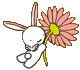 Proceed to Lily
