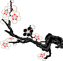 /user/cherrybranch.gif