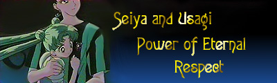 super011 logo