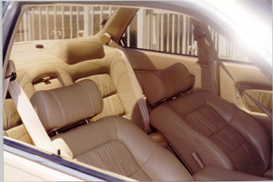 Leather Seat