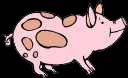 Image of Pig