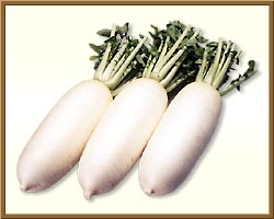 Daikon