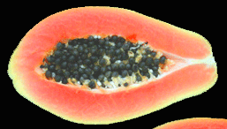 Image of papaya