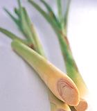Lemongrass