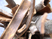 Image of Cinnamon Sticks
