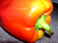 Image of Capsicum