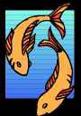 Image of Graphic Fish